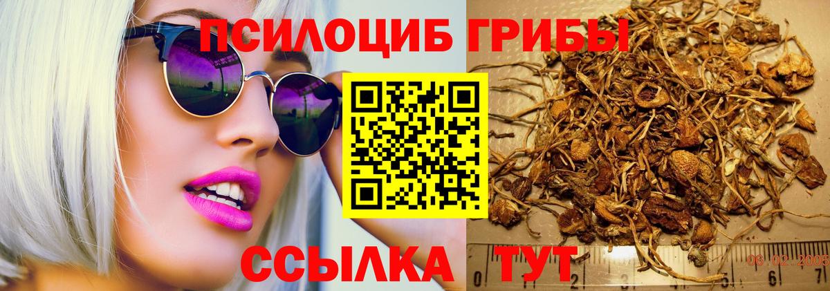 Галлюциногенные грибы Psilocybe  Вход с VPN  Лабытнанги 